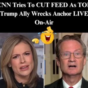 A Republican took aim at a CNN host, asserting, “That’s why your ratings are in the tank.”