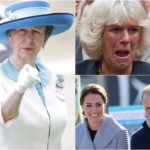 Good News: King Charles Hospitalized, Princess Anne Immediately “Teams Up” With William To Grant Camilla A New Title, Leaving Her In Tears: “Charles, Save Me…” See more below 👇
