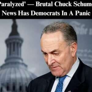 Chuck Todd: Democratic Leaders Jeffries and Schumer “Hampered” by Internal Factional Divisions – An In-Depth Look at the Party’s Internal Struggles.