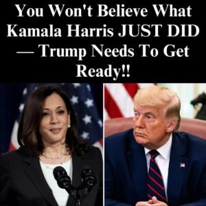Harris reportedly sought advice from Hillary Clinton following his loss to Trump.