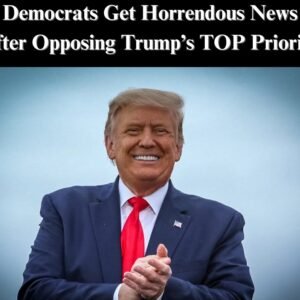 Veteran Pollster Gives Dems Bad News Over Opposition To Key Trump Policy