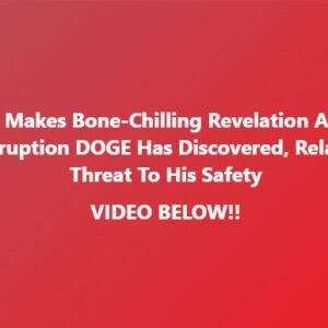 WATCH: Elon Makes Bone-Chilling Revelation about Corruption DOGE Has Discovered, Related Threat to His Safety