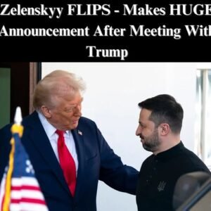 Ukraine Poised for Transformation: Zelenskyy’s Bold Offer on U.S.