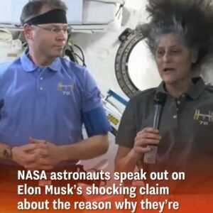 NASA astronauts respond to Elon Musk’s startling allegation explaining why they remain stranded in space.