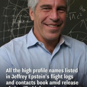Amid the release of classified information, all the prominent names appearing in Jeffrey Epstein’s flight logs and contacts book have been identified.