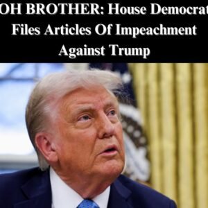Here We Go Again: Democrat Launches Trump Impeachment Attempt