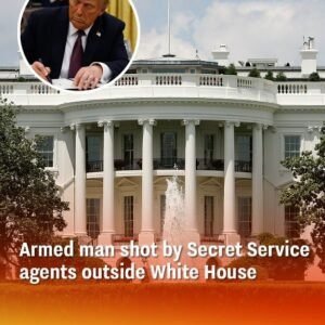 The Secret Service fired on an armed suspect near the White House, and all indications show that Trump is safe.