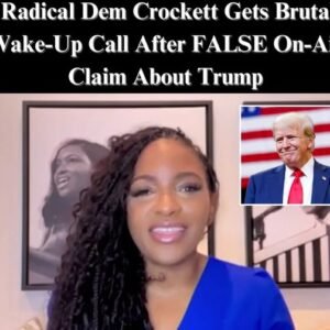Crockett’s Controversial Remarks on Immigration Spark Outrage on MSNBC